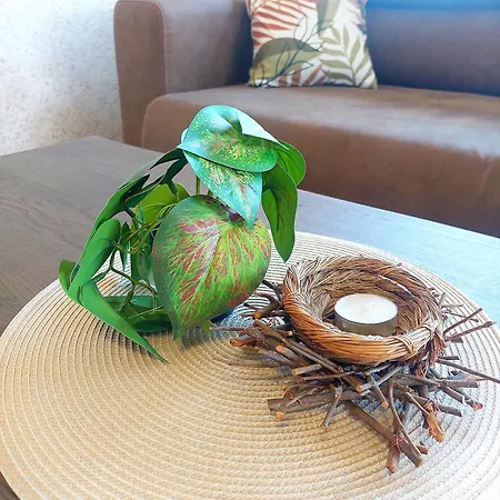 Forest View Apartmán