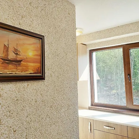 Forest View * Škorpilovci