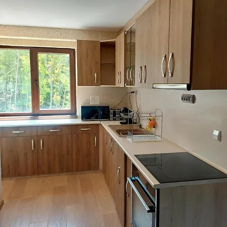 Forest View Apartmán *