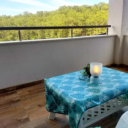 Forest View * Škorpilovci