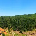 Forest View Apartamento Shkorpilovtsi