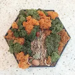 Forest View