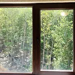 Forest View Apartamento Shkorpilovtsi