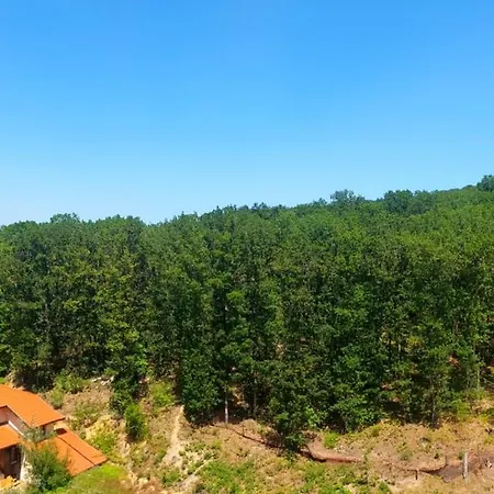 Forest View アパート シュコルピロフツ
