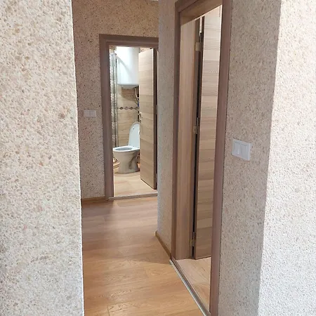 Forest View Apartment