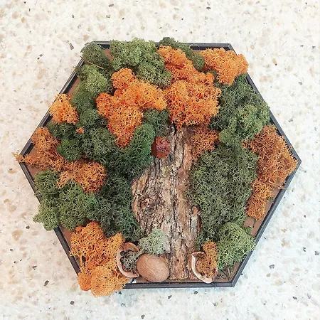 Forest View