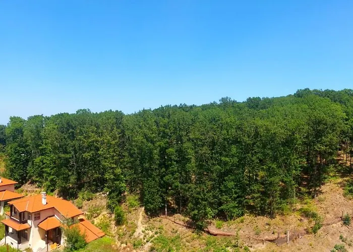 Forest View Апартамент Шкорпиловци