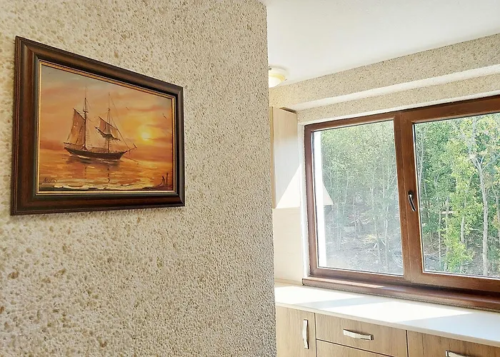 Forest View * 希科尔皮诺夫西