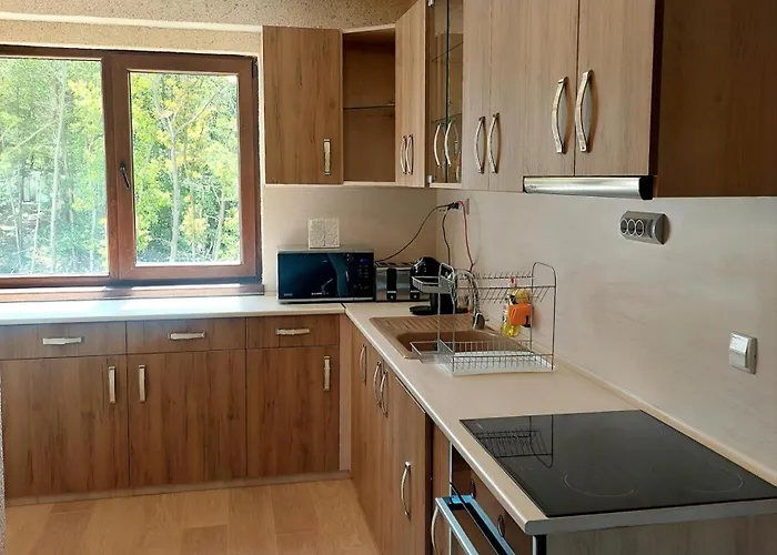 Forest View 公寓 *