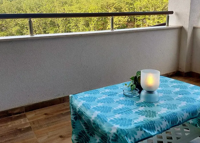 Forest View * Шкорпиловци